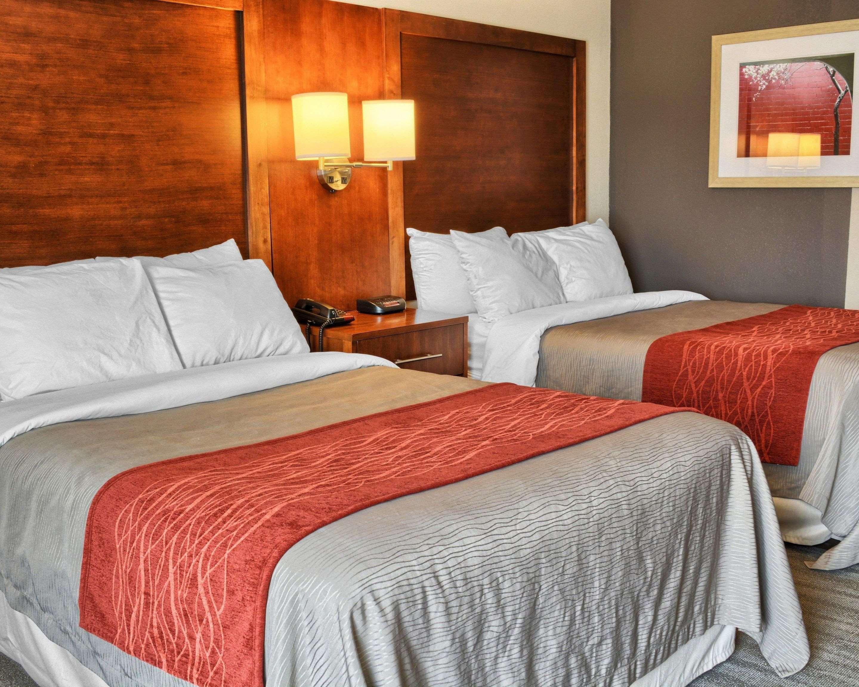 Comfort Inn Ruther Glen Near Kings Dominion Ngoại thất bức ảnh